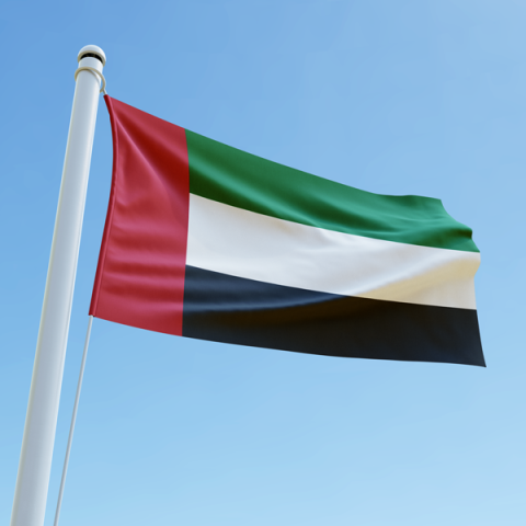 Abdulrahman Alturjami, UAE